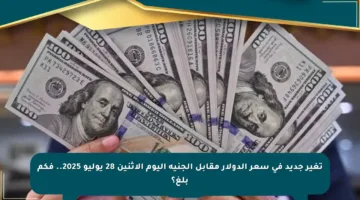 تغير جديد في سعر الدولار مقابل الجنيه اليوم الإثنين 28 يوليو 2025.. فكم بلغ؟